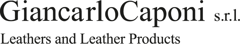 Web site's logo
